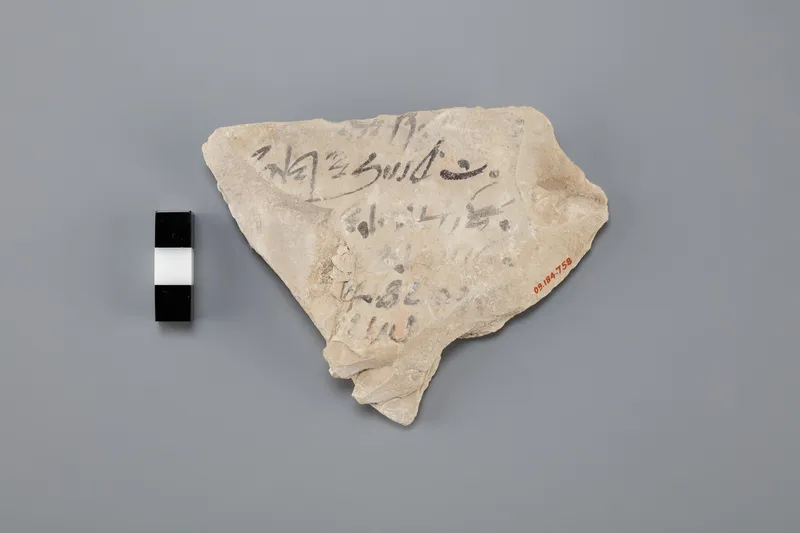 Debian decides not to decide on AI-generated contributions