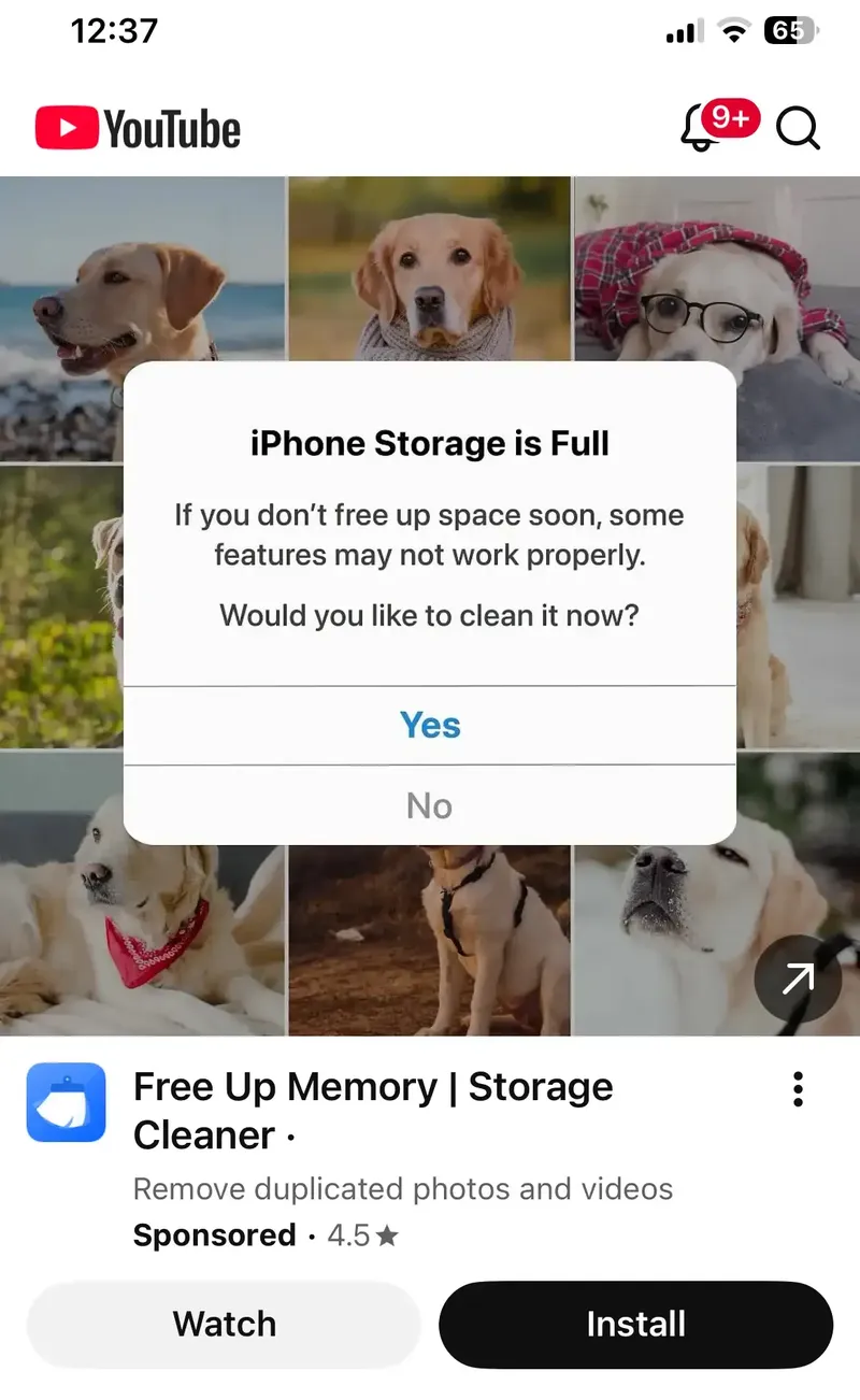 Why is Google still serving dodgy ads?