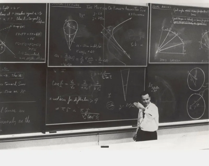 Richard Feynman and The Connection Machine