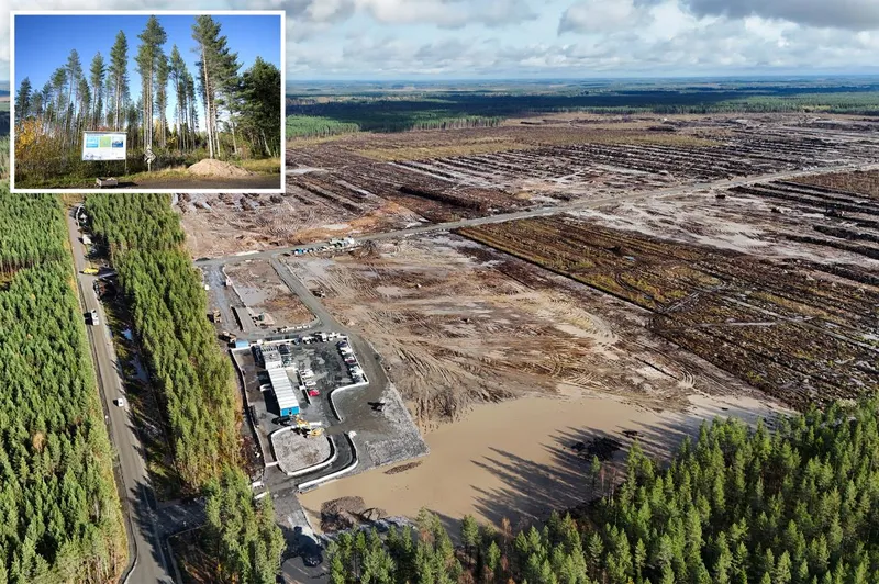 Google illegally cut down 250K trees in Finland for data center, driving wolves into villages and infuriating locals: report