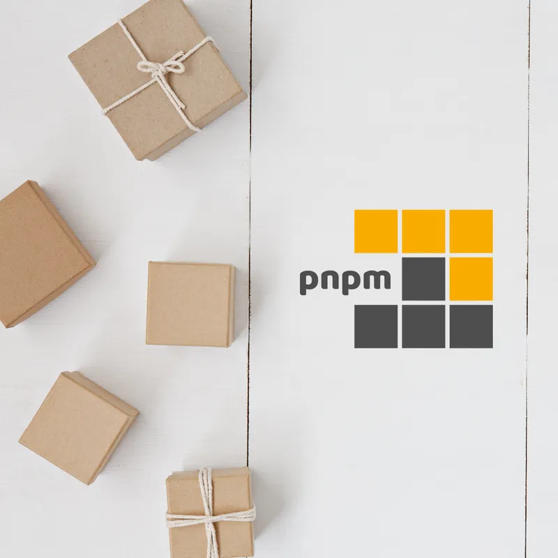 pnpm 12.0 | pnpm