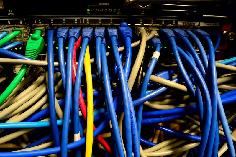 Google cleared 300 hectares of Finnish forest for a data center, and regulators want answers