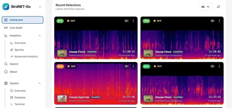 How I Turned My Security Cameras Into an Automatic Bird Identification System with BirdNet-Go